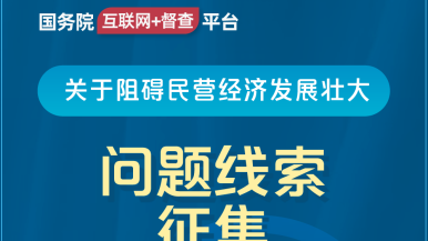 操屄的视屏国务院“互联网+督查”平台公开征集阻碍民营经济发展壮大问题线索